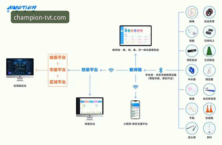 如何解锁TVT体育电脑版攻略，开启高效观赛与互动新体验？